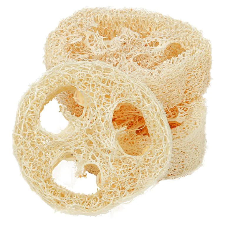 Loofah Sponge - 1pc