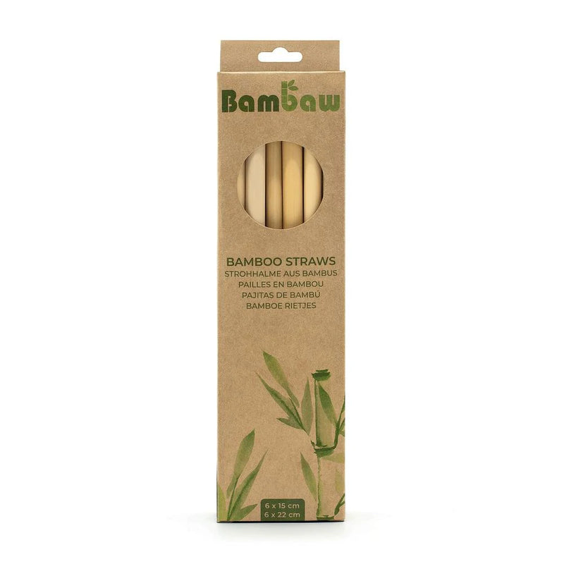 Bamboo Straws – Box