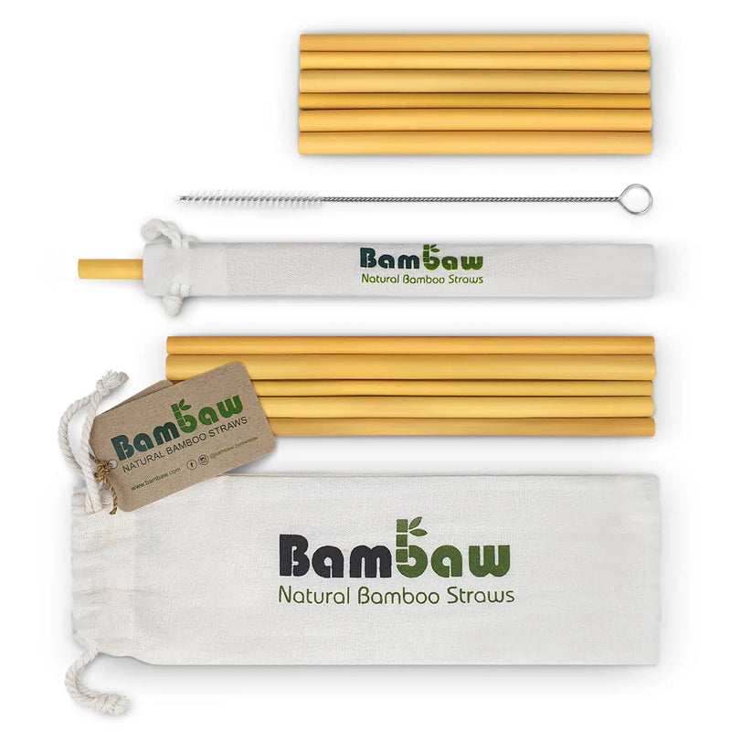 12 Bamboo Straws with bag