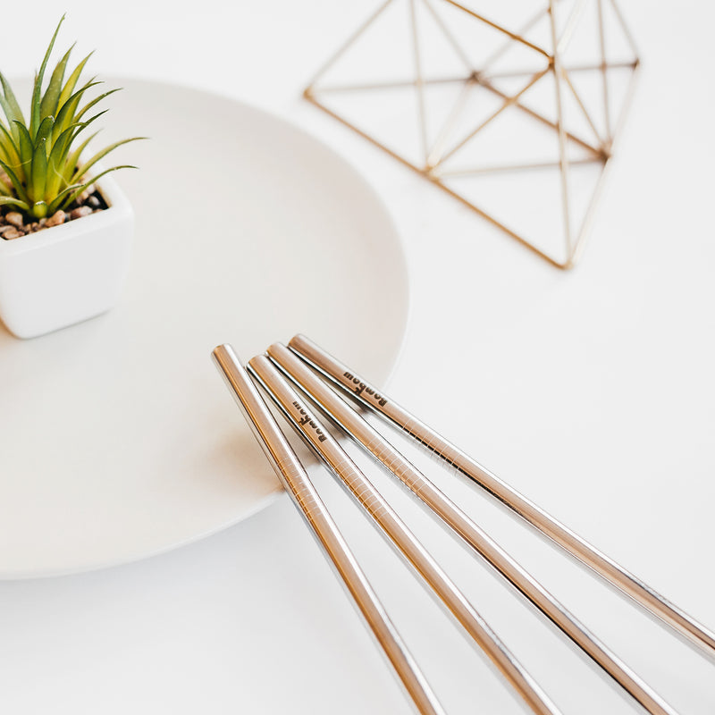 Metal straw set – 6 pieces