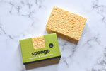 Compostable Sponge, 2 pieces