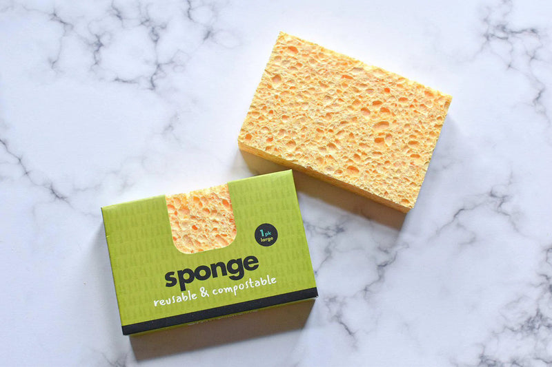 Compostable Sponge, 2 pieces