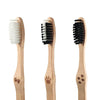 Bamboo Toothbrush