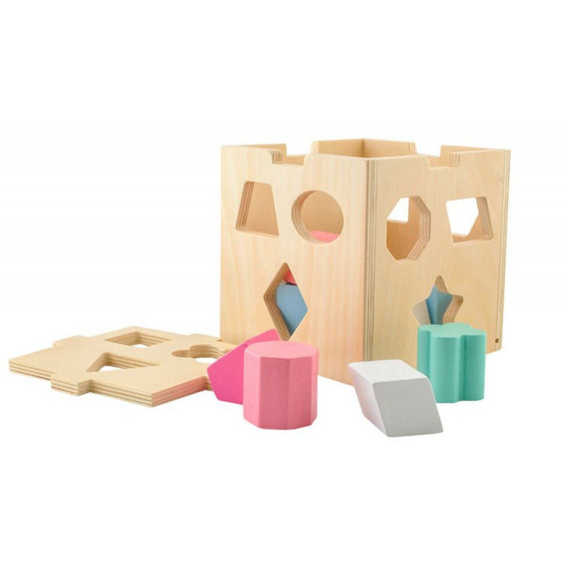 Educational Sorting Block + Stones 