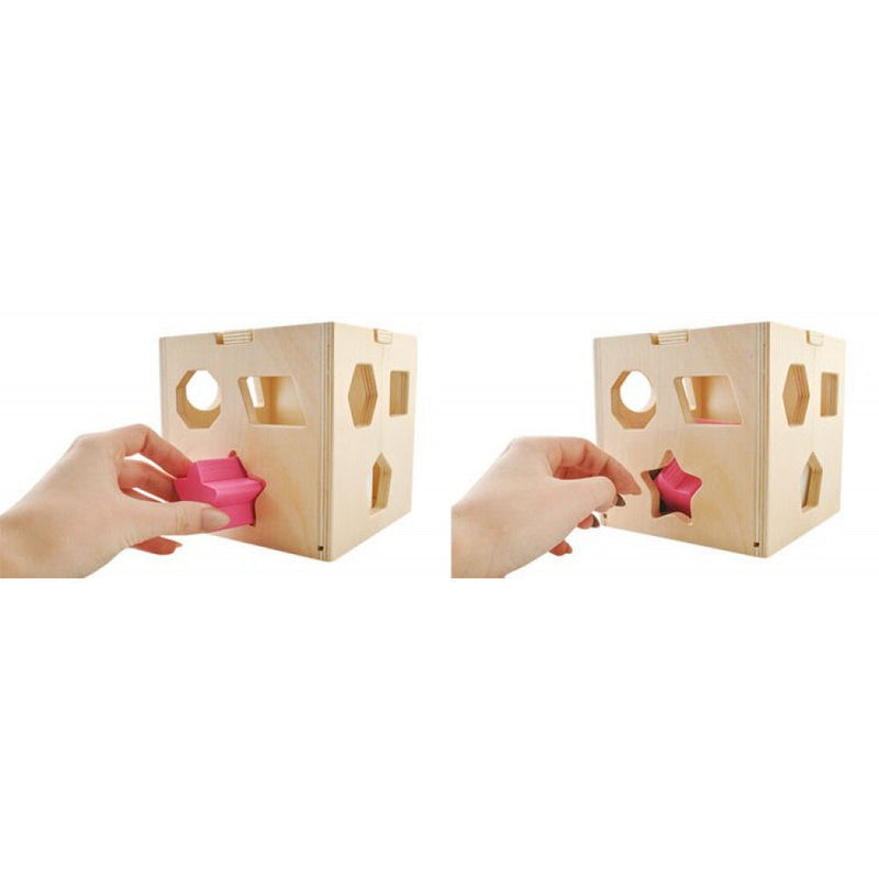 Educational Sorting Block + Stones 