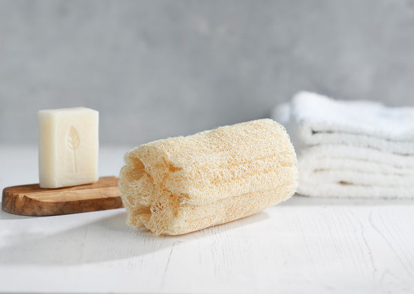 Loofah Sponge for the Body