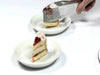 Cake cutter and cake server stainless steel