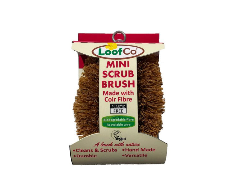 Mini Dish Brush - Coconut 