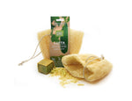 Soap sponge - Luffa