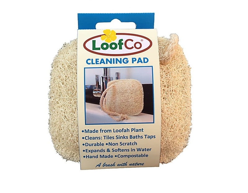 Schoonmaak spons Loofco