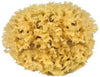 Nature Sponge for the body 11 - 16cm