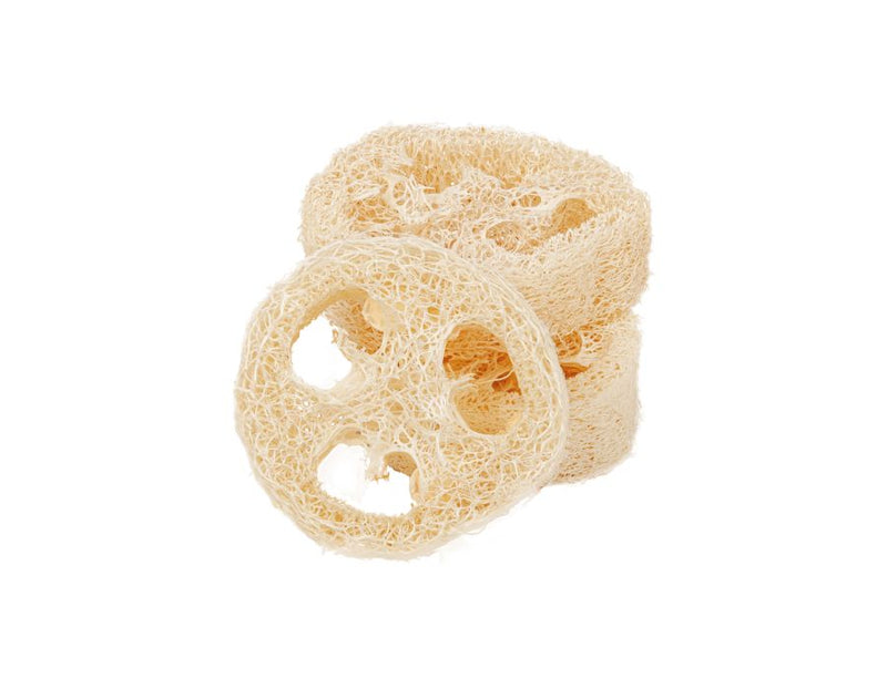 Loofah Sponge - 50 pieces (bulk)