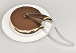 Cake cutter and cake server stainless steel