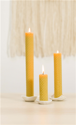 Beeswax dinner candle - 23 cm 