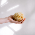 Nature Sponge for the body 11 - 16cm