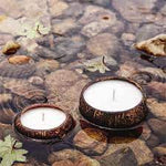 Coconut Soy Candles - 5 scents