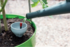 Planter with Water Reservoir