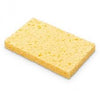 Compostable Sponge, 2 pieces